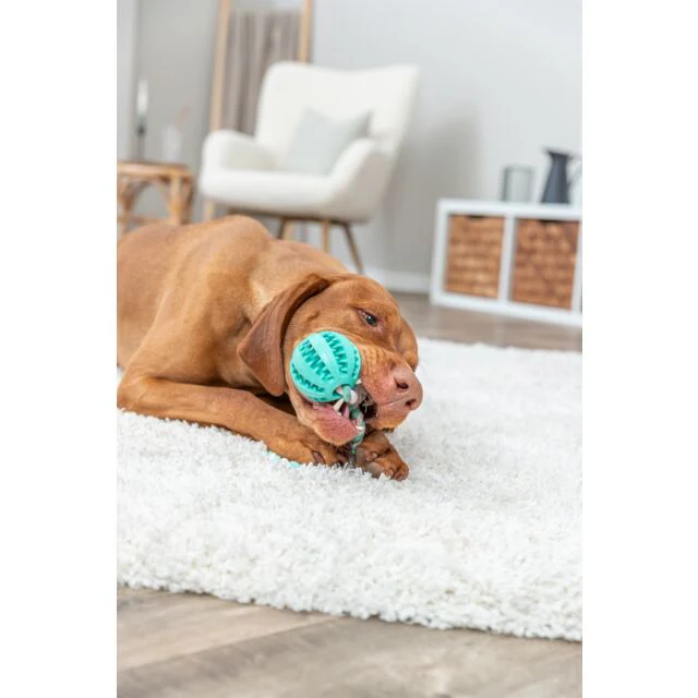 Trixie Denta Fun Natural Rubber Ball on a rope 24cm - Image 2
