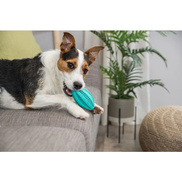 Trixie Denta Fun Rugby Ball, Mint Flavour 11cm - Image 2