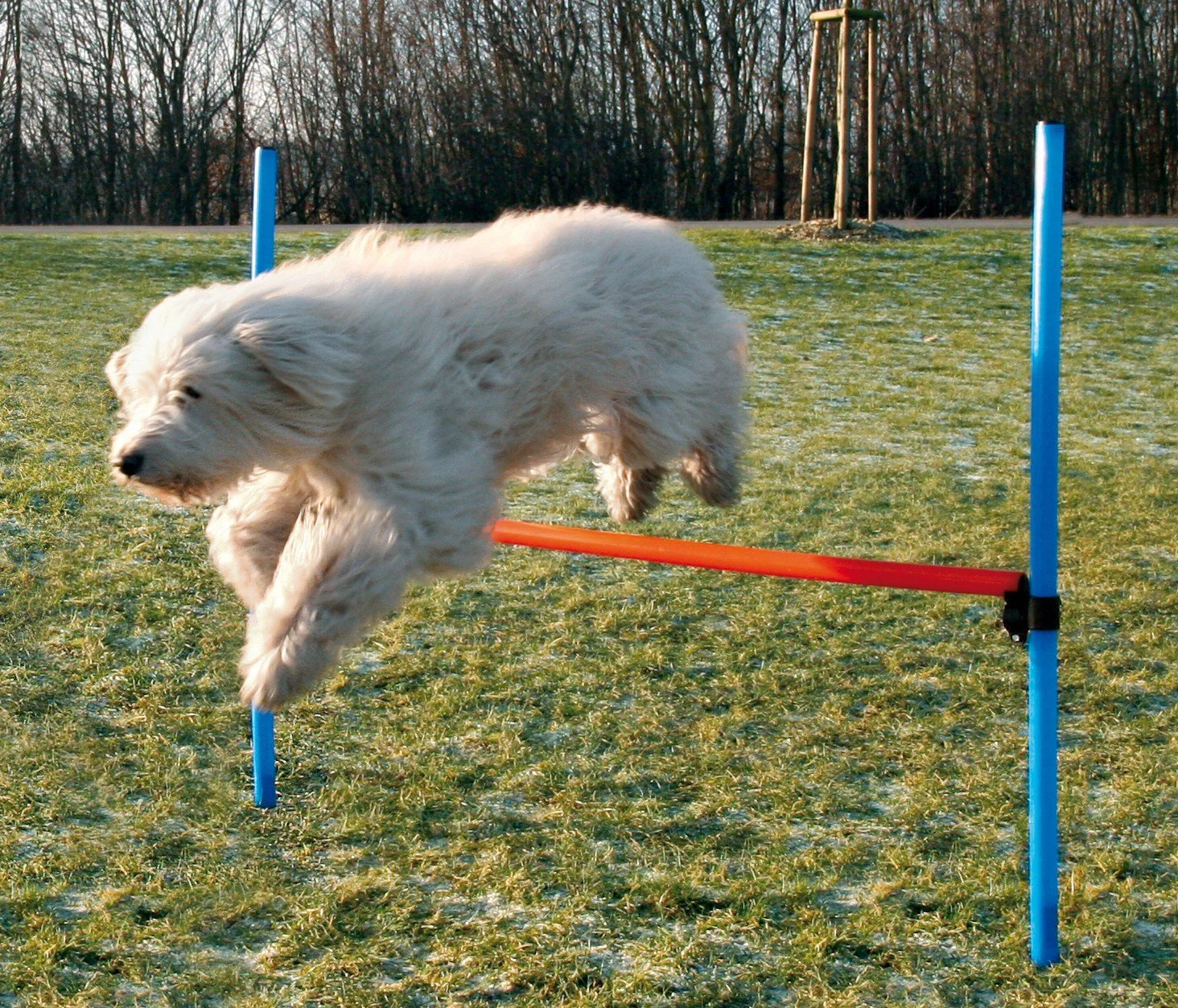Trixie Dog Activity Agility Hurdle - Image 2