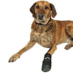 Trixie Dog Boots XLarge - Image 2