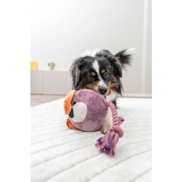 Trixie Dog with Rope Plush/Rope Dog Toy 27cm - Image 2