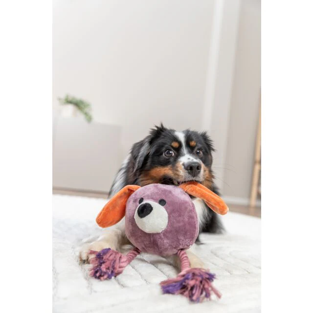 Trixie Dog with Rope Plush/Rope Dog Toy 27cm - Image 4