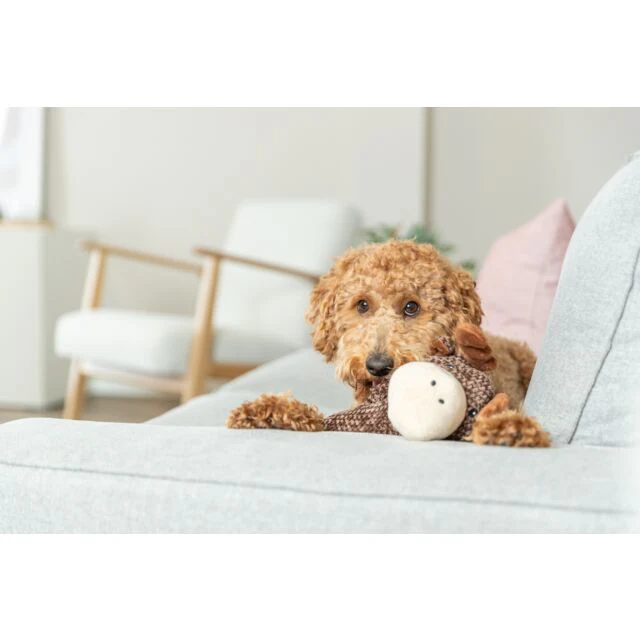 Trixie Moose Plush Dog Toy 36cm - Image 3