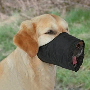 Trixie Nylon Muzzles X Small