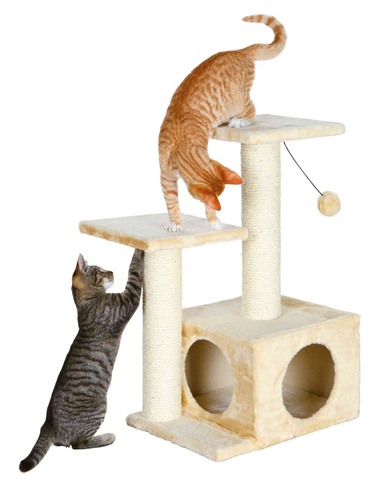 Valencia Cat Scratching Post 71cm (Beige) - Image 3
