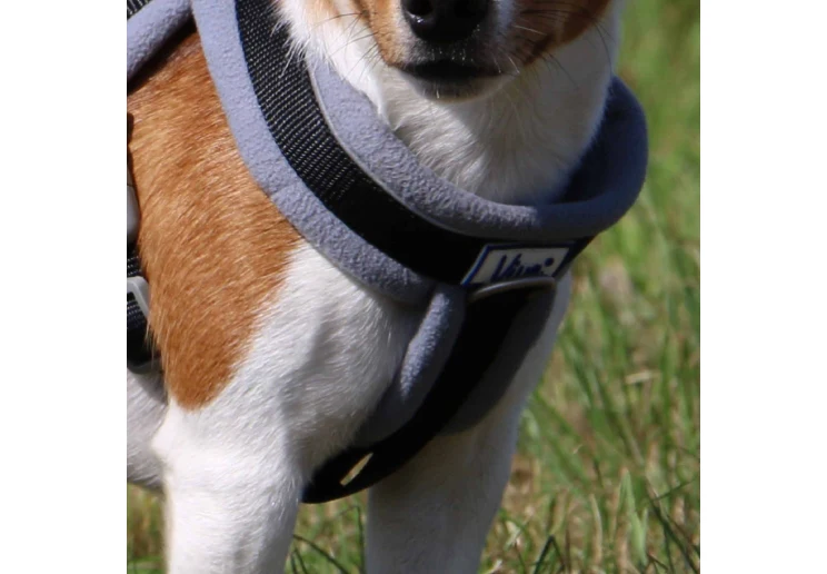 Ancol Viva Padded Dog Harness Black - Image 4
