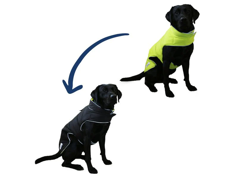 Viva Reversible Dog Coat Black/HiVis - Image 2
