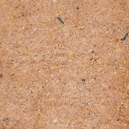 Wild bird Suet Energy Block with Berry - Image 3