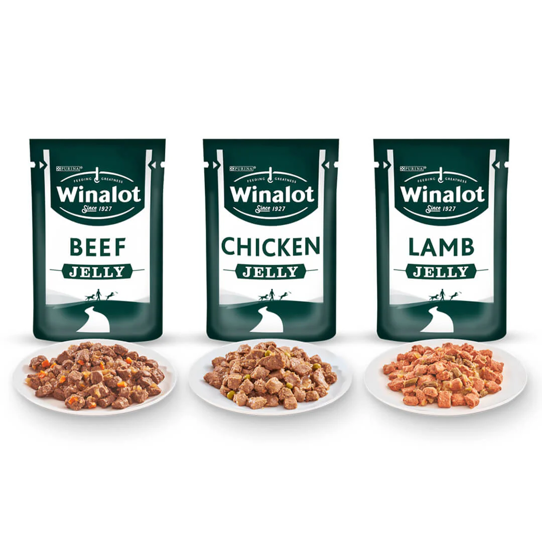 Winalot Meaty Chunks In Gravy 40pk – Wet Dog Food - Image 2