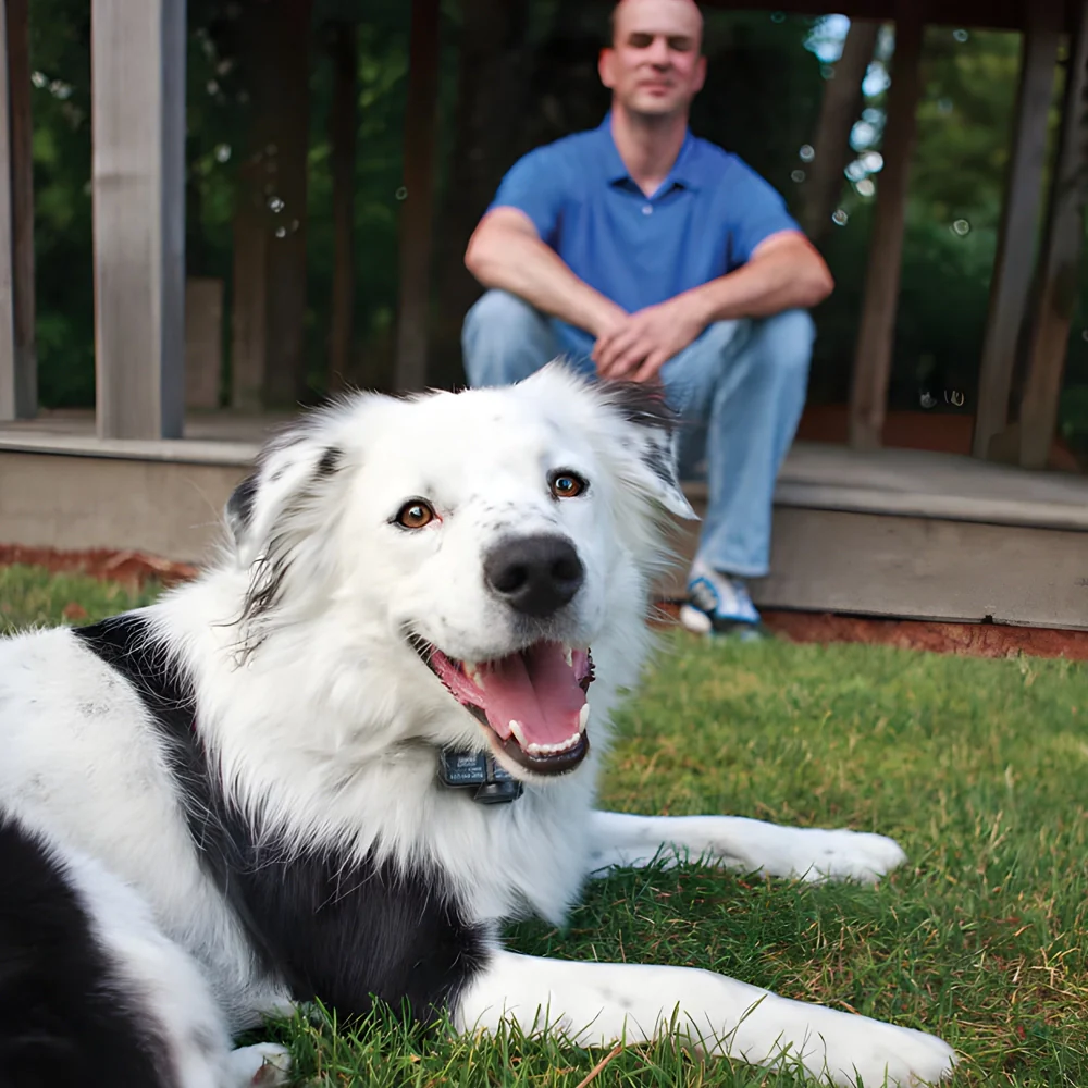 Petsafe Wireless Pet Containment System - Image 4
