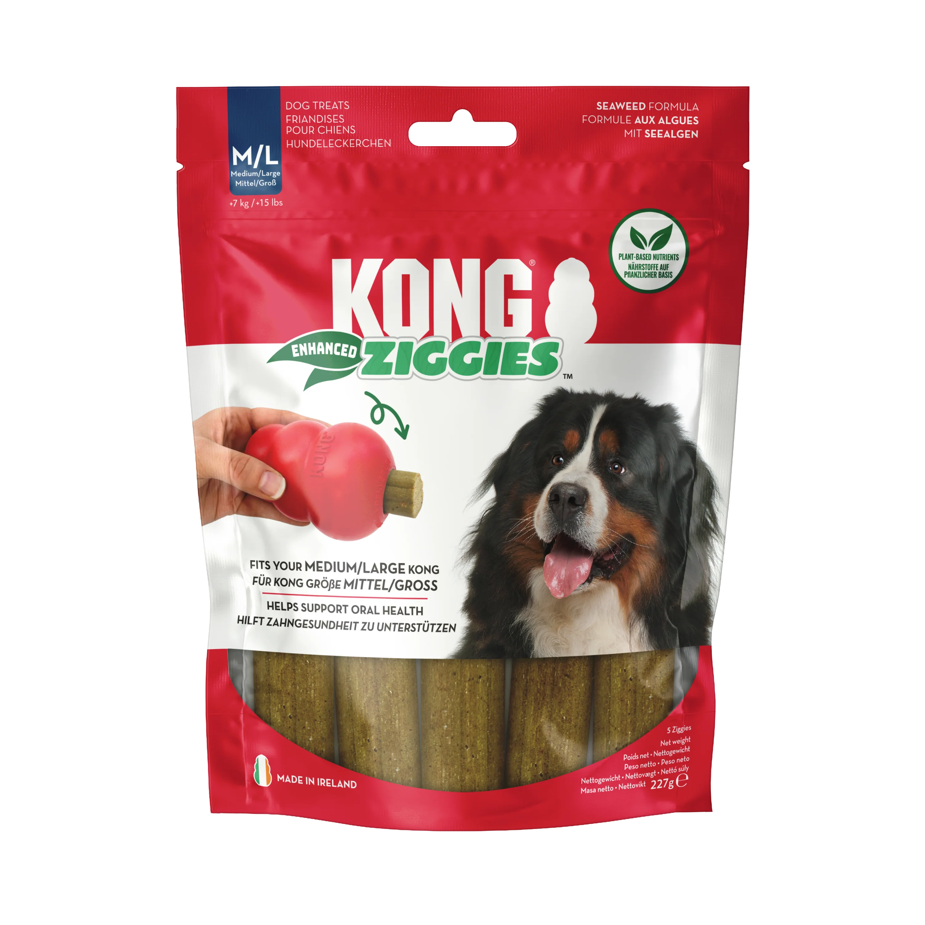 KONG Ziggies - Image 4